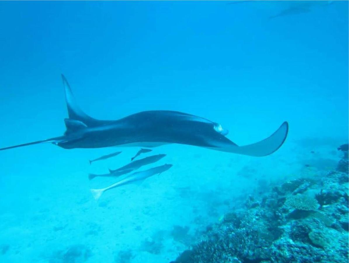 Feridhoo Inn Экстерьер фото